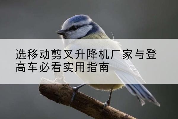 新泰电动升降机厂家-选移动剪叉升降机厂家与登高车必看实用指南