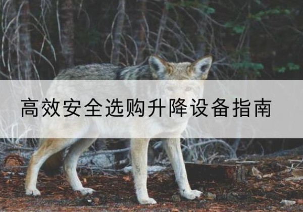 新泰升降货梯厂家推荐-*安全选购升降设备指南