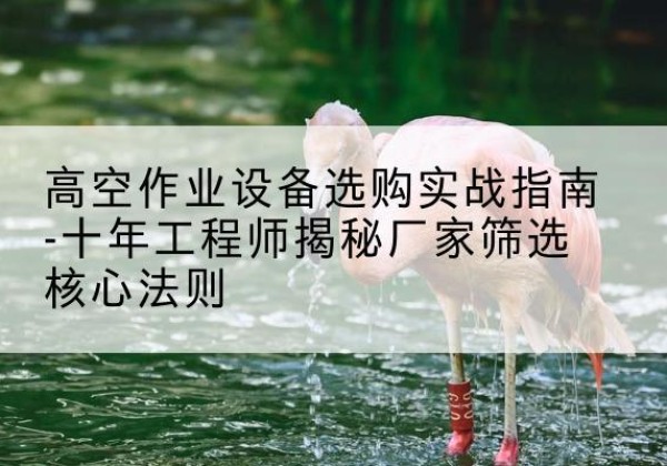 新泰剪叉式升降机厂家-高空作业设备选购实战指南-十年工程师揭秘厂家筛选核心法则