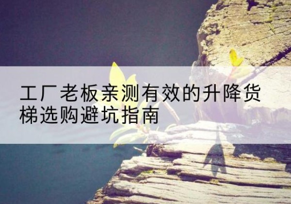 新泰升降货梯怎么选-工厂老板亲测有效的升降货梯选购避坑指南